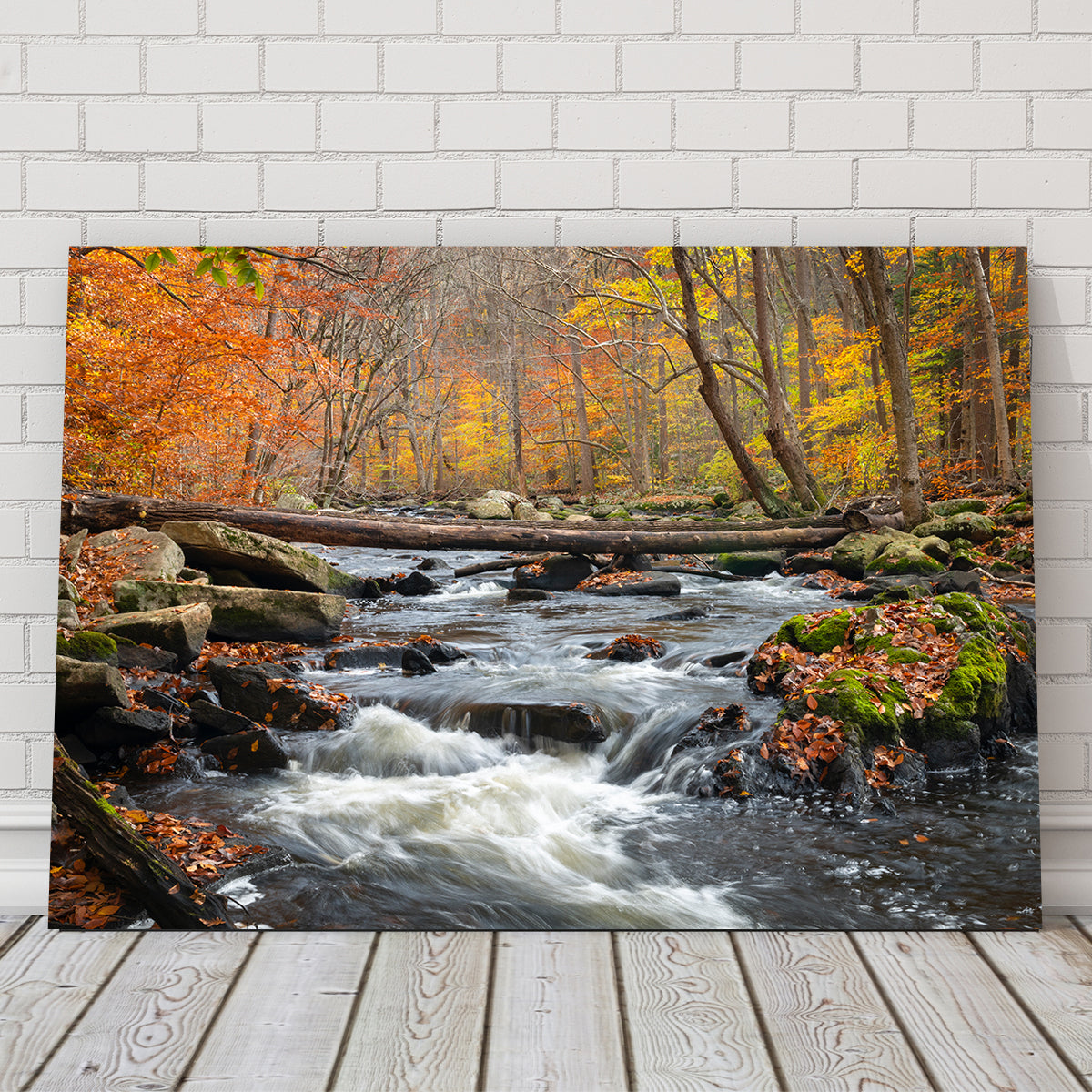 Black River Catskills NY Wall Art