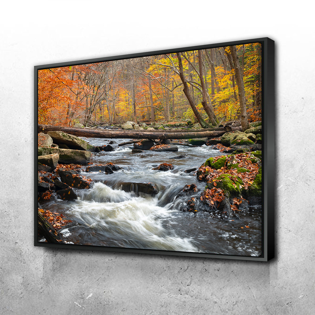 Black River Catskills NY Wall Art