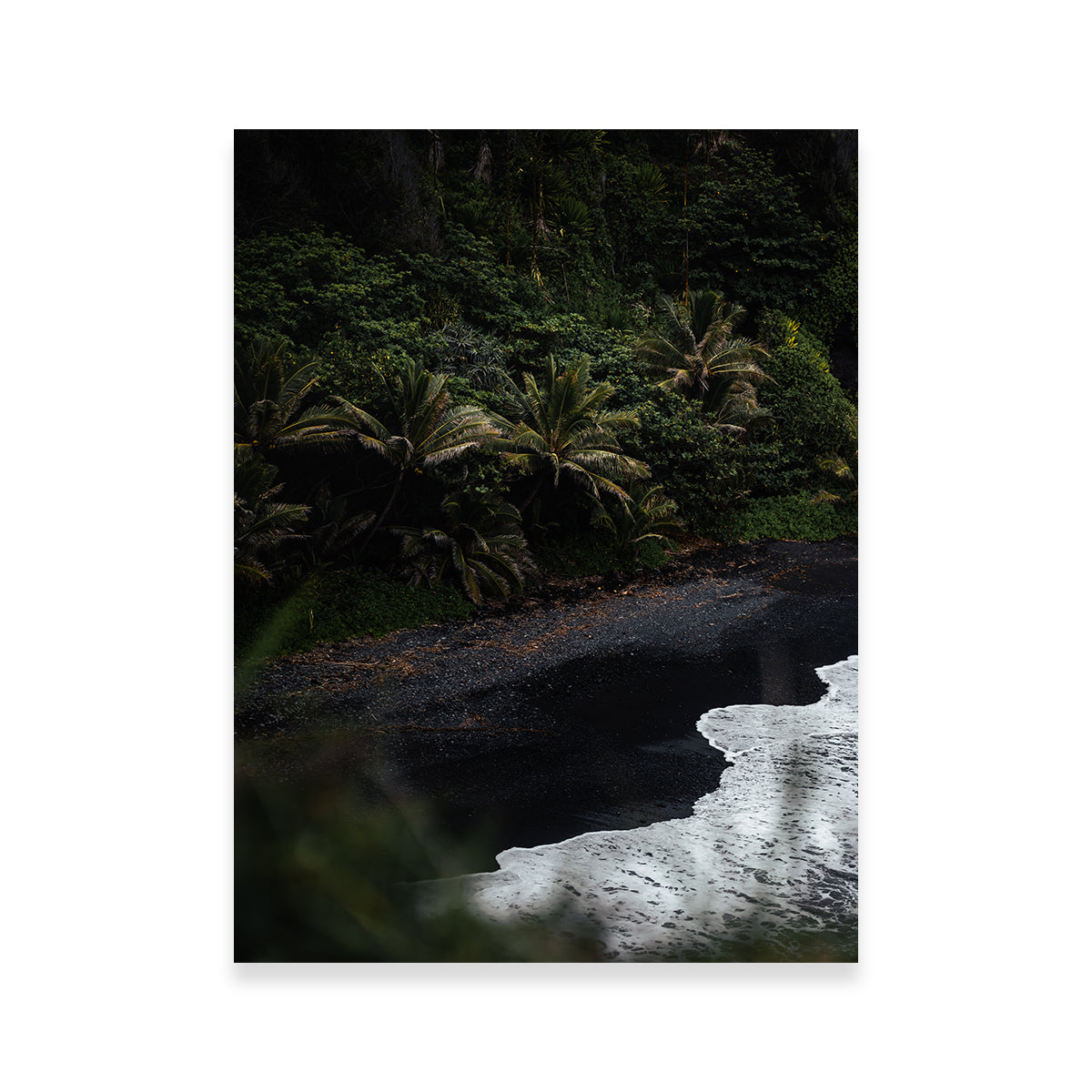 Black Sand Palms Wall Art