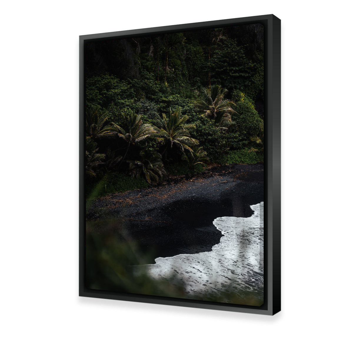 Black Sand Palms Wall Art