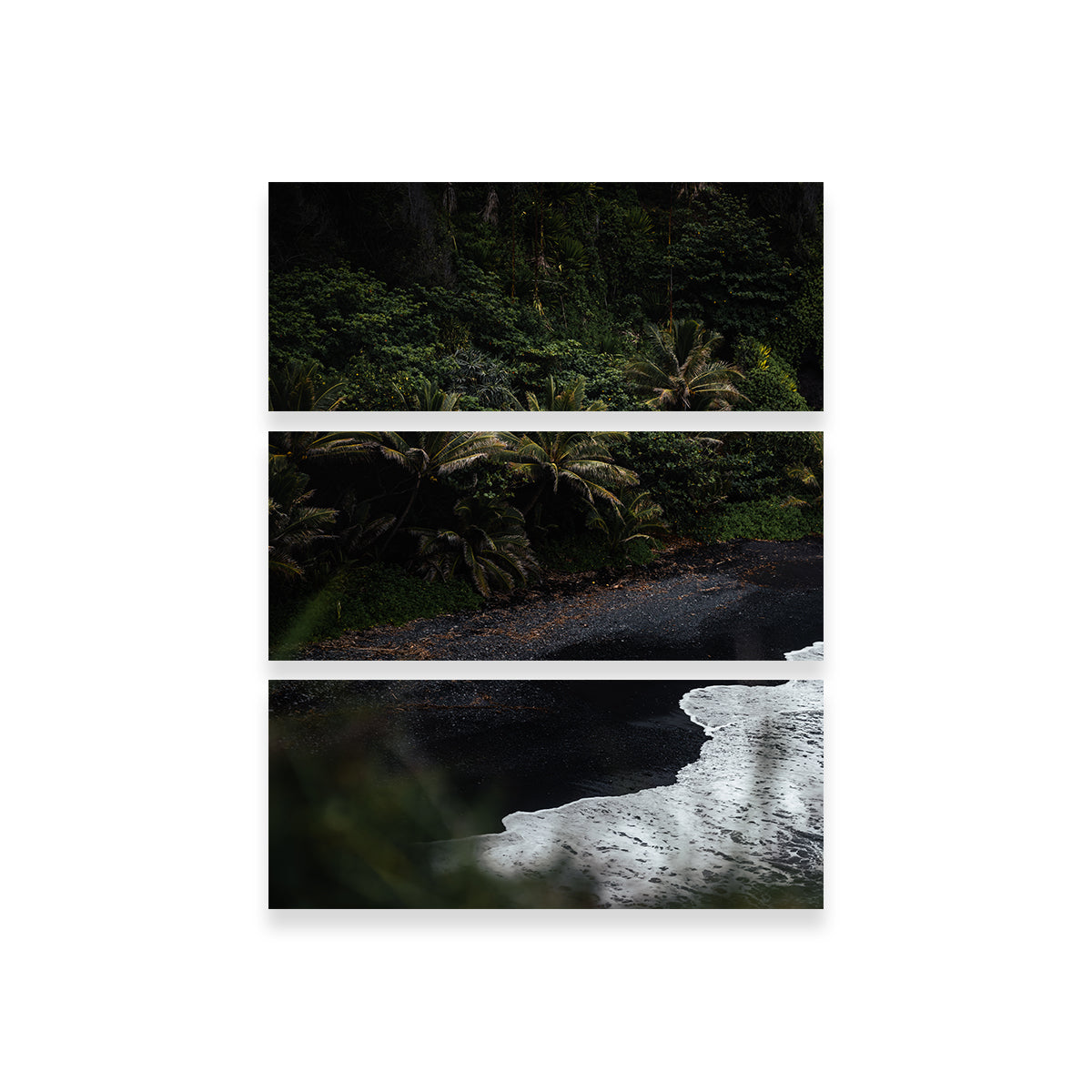 Black Sand Palms Wall Art