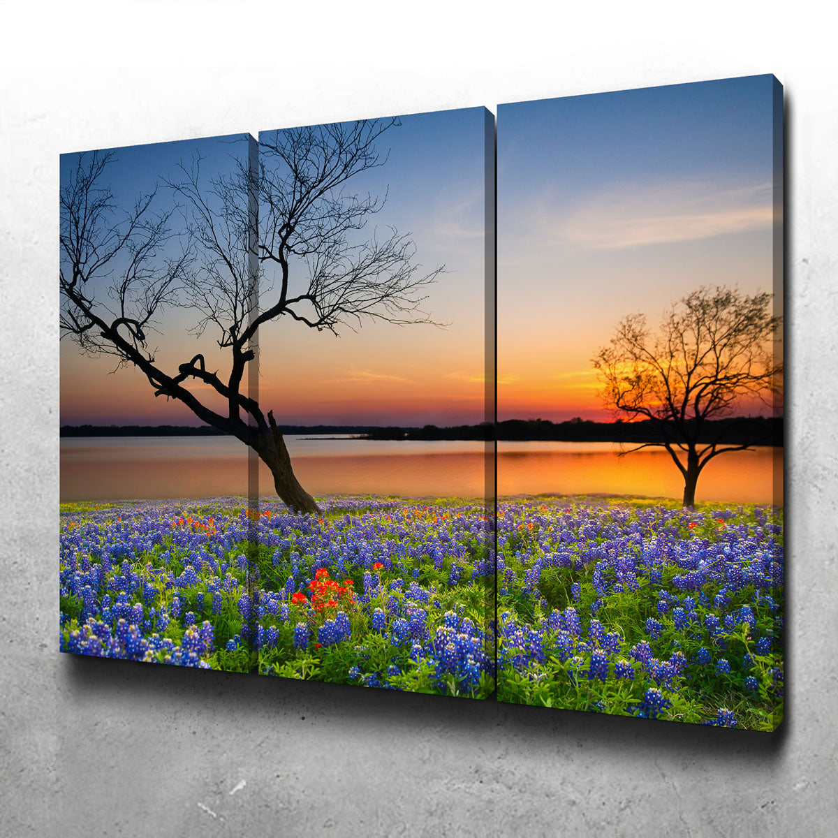 Blooming Bluebonnet Wildflower Field Wall Art