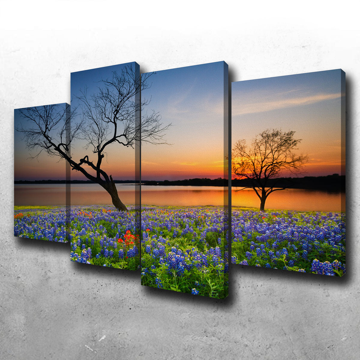 Blooming Bluebonnet Wildflower Field Wall Art