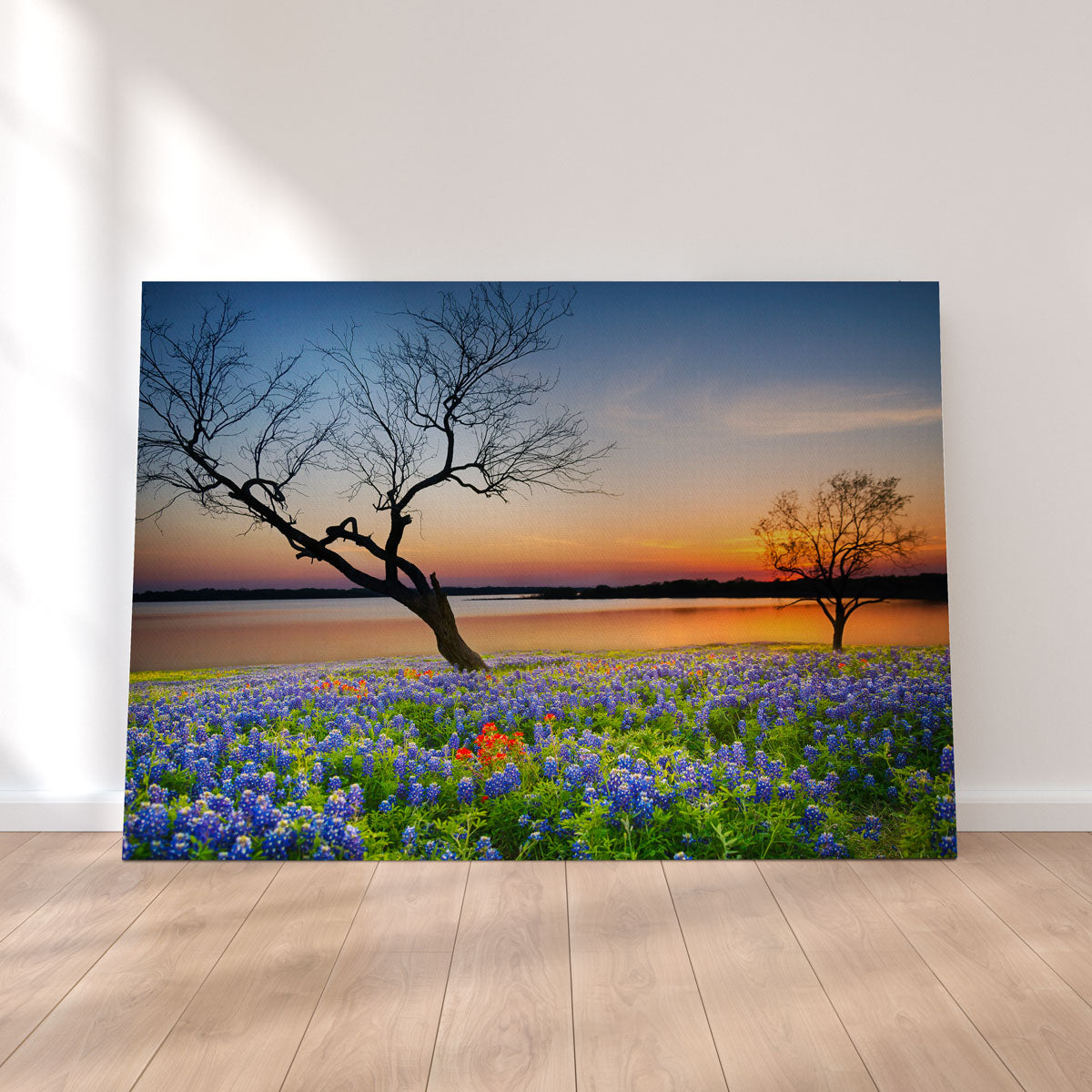 Blooming Bluebonnet Wildflower Field Wall Art