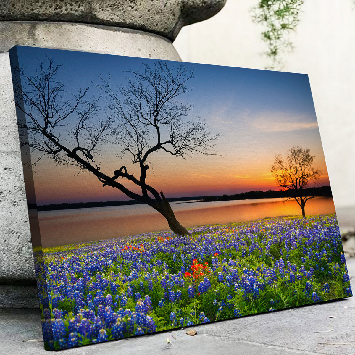 Blooming Bluebonnet Wildflower Field Wall Art