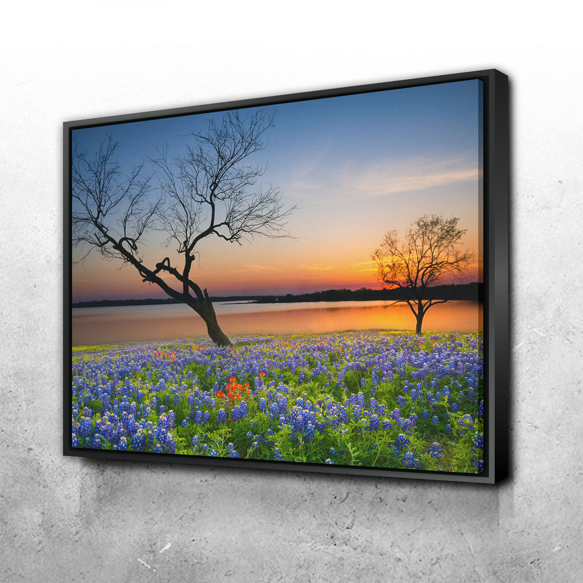 Blooming Bluebonnet Wildflower Field Wall Art