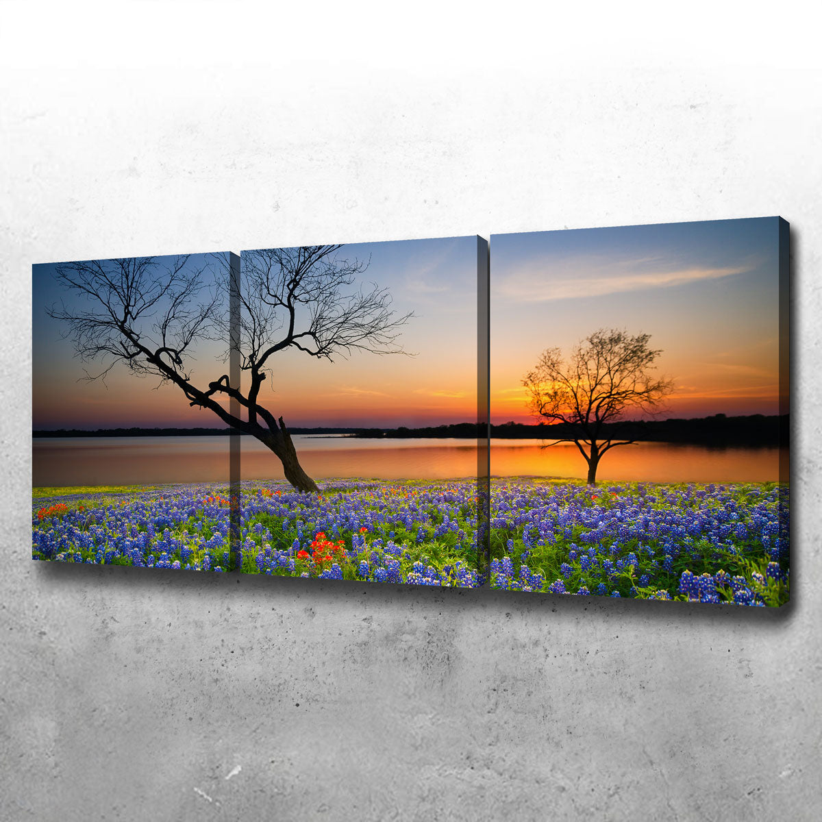 Blooming Bluebonnet Wildflower Field Wall Art