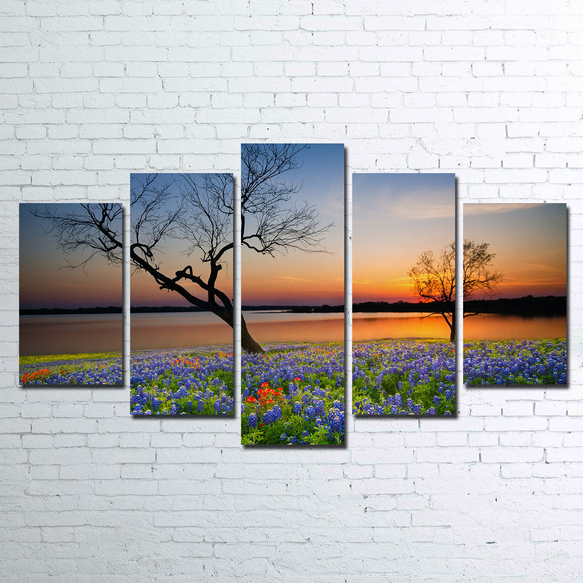 Blooming Bluebonnet Wildflower Field Wall Art