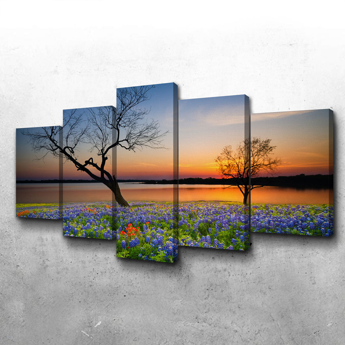 Blooming Bluebonnet Wildflower Field Wall Art
