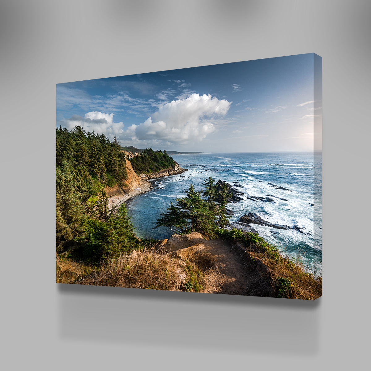 Blue Coast Wall Art
