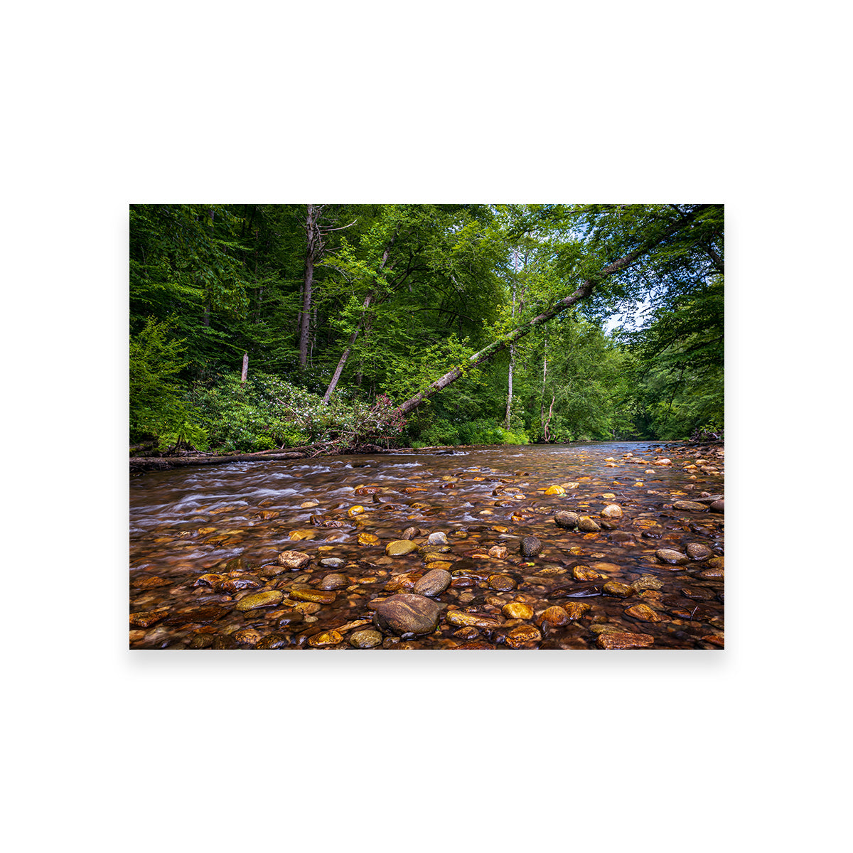 Blue Ridge Pky NC Wall Art