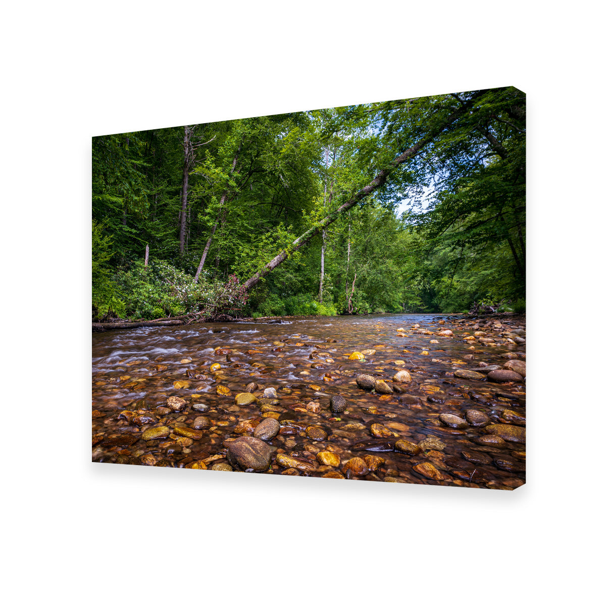 Blue Ridge Pky NC Wall Art