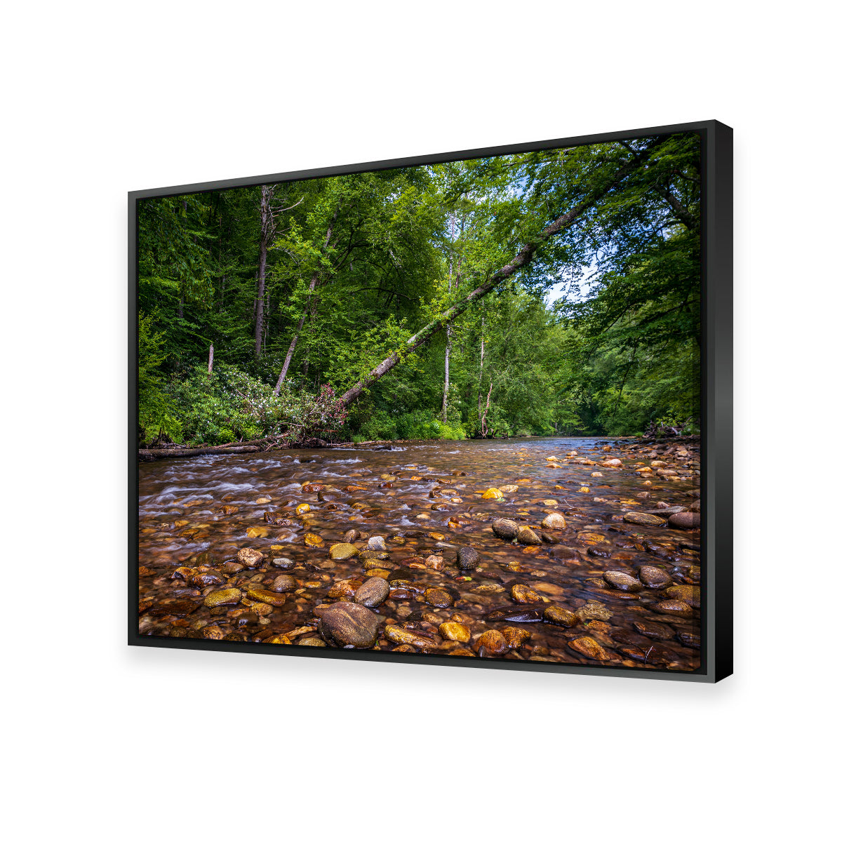 Blue Ridge Pky NC Wall Art