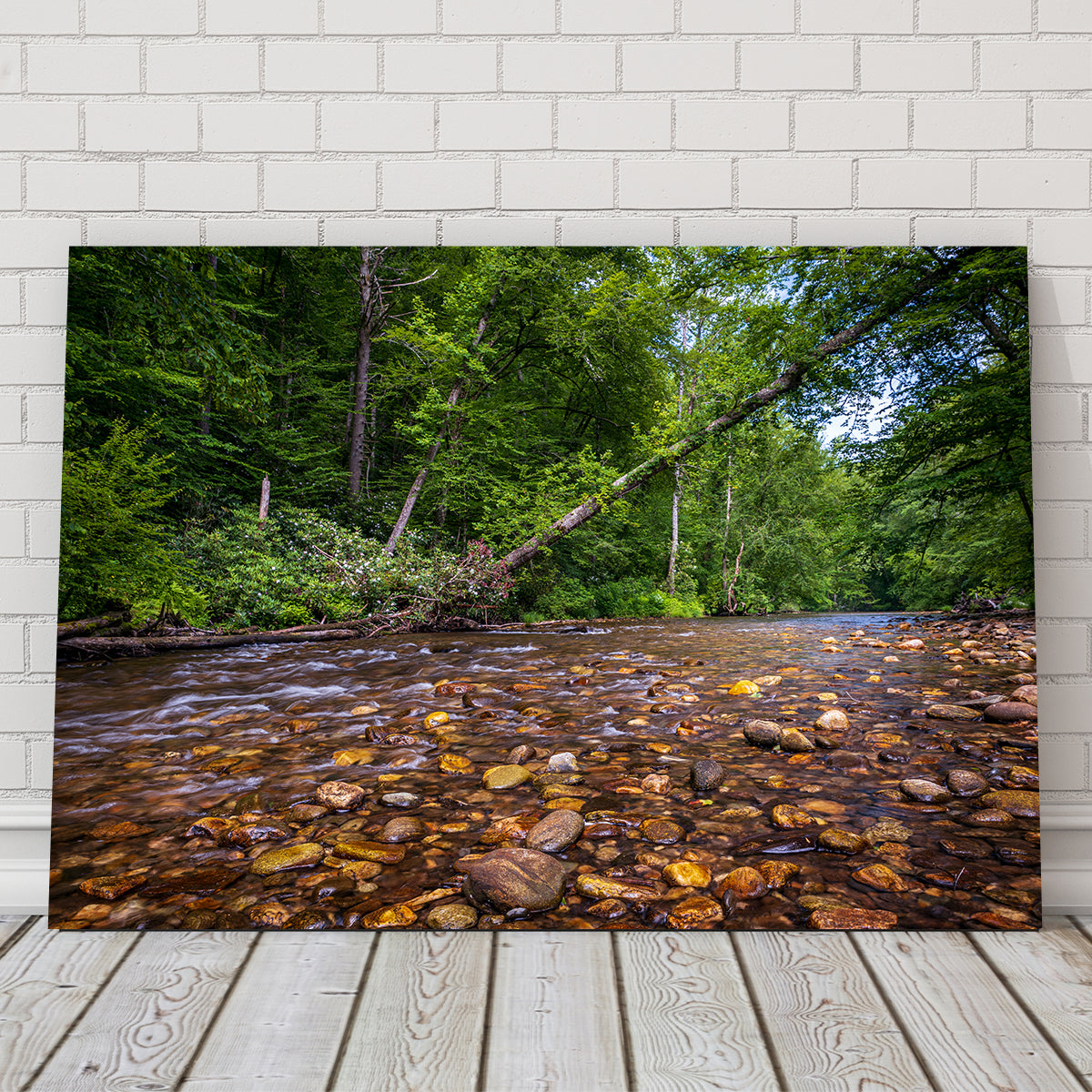 Blue Ridge Pky NC Wall Art