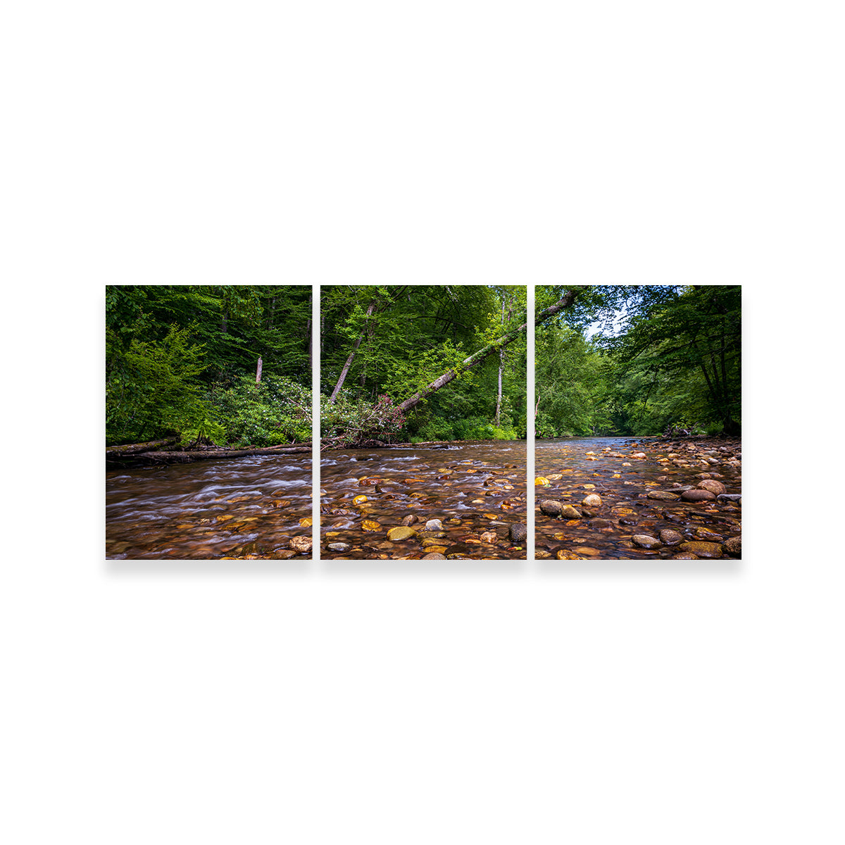 Blue Ridge Pky NC Wall Art