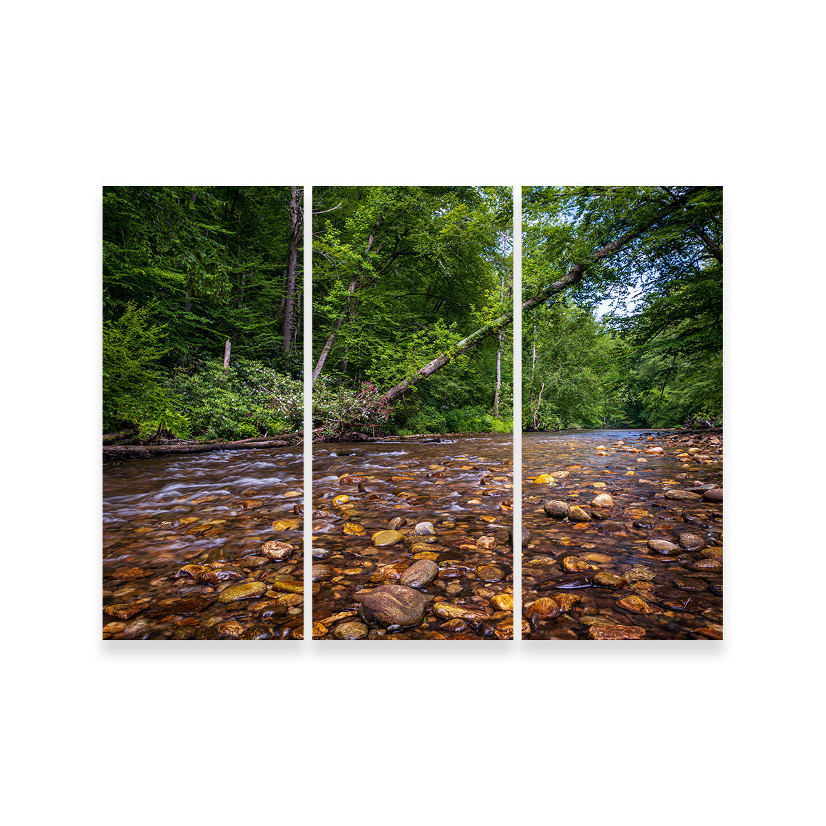 Blue Ridge Pky NC Wall Art