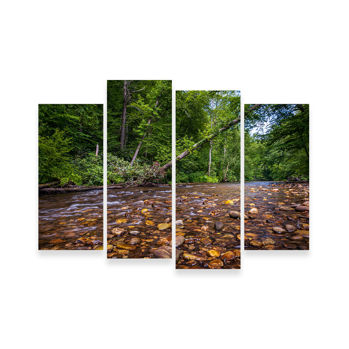 Blue Ridge Pky NC Wall Art