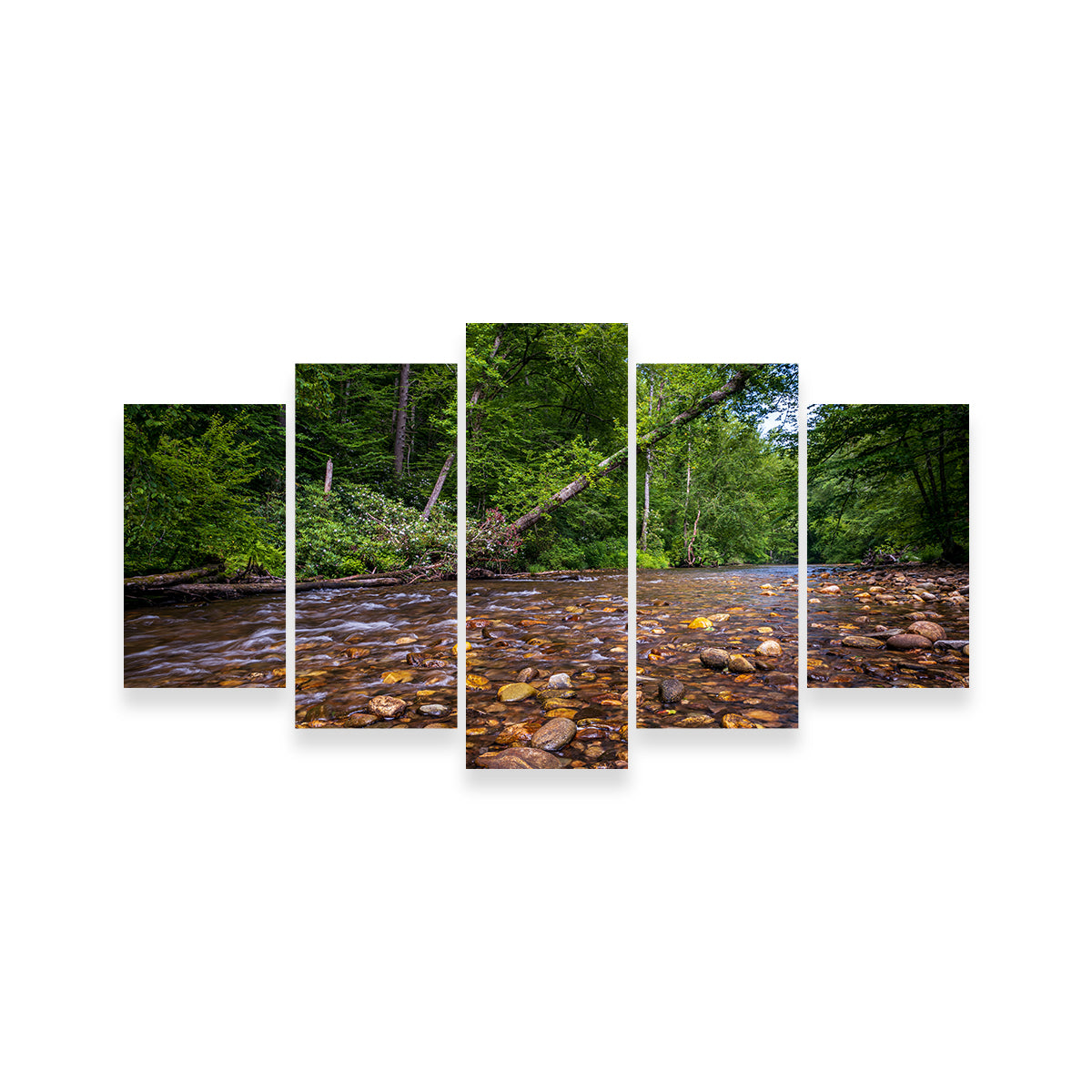 Blue Ridge Pky NC Wall Art