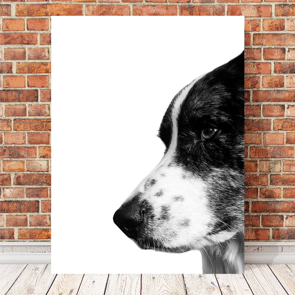 Border Collie Wall Art