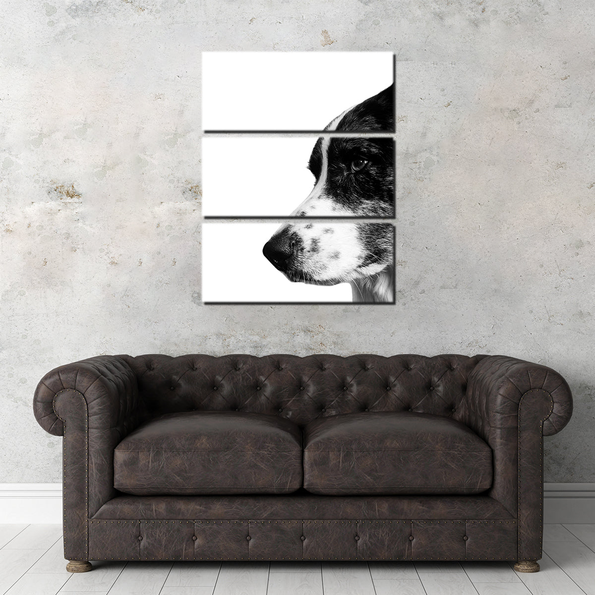 Border Collie Wall Art