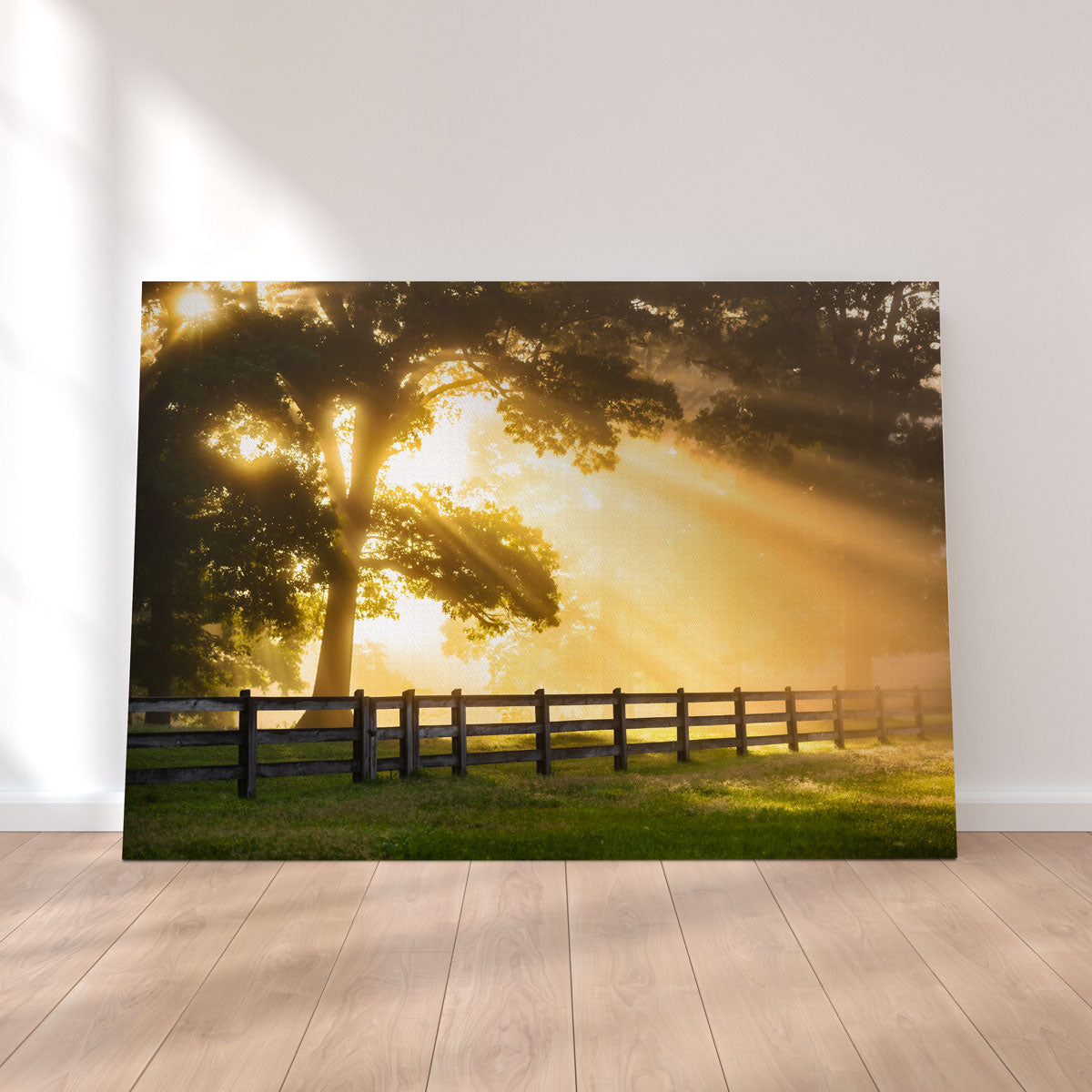 Break of Dawn Wall Art