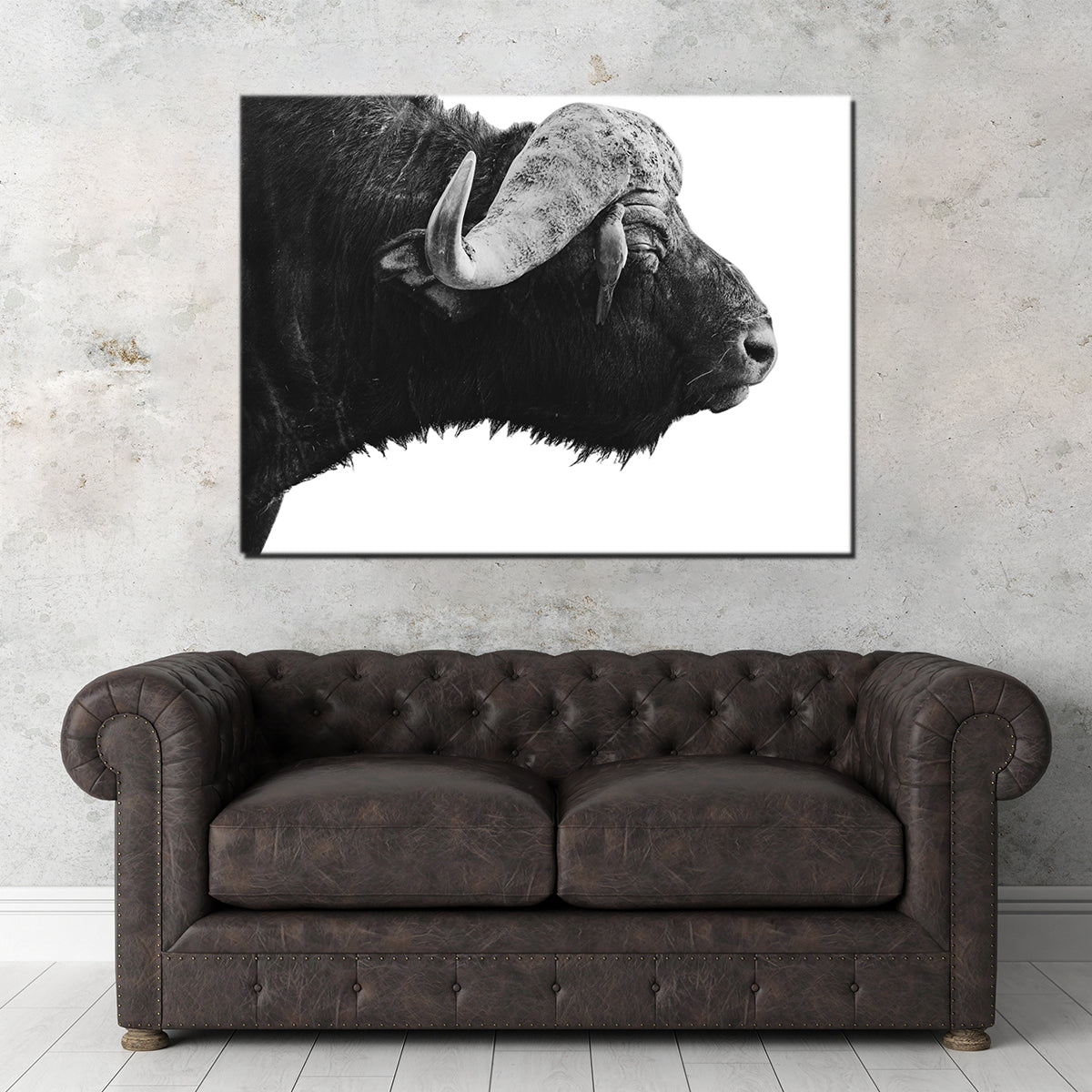 Buffalo Wall Art