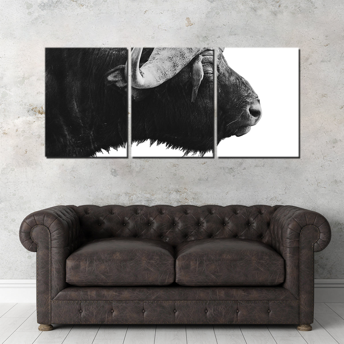 Buffalo Wall Art