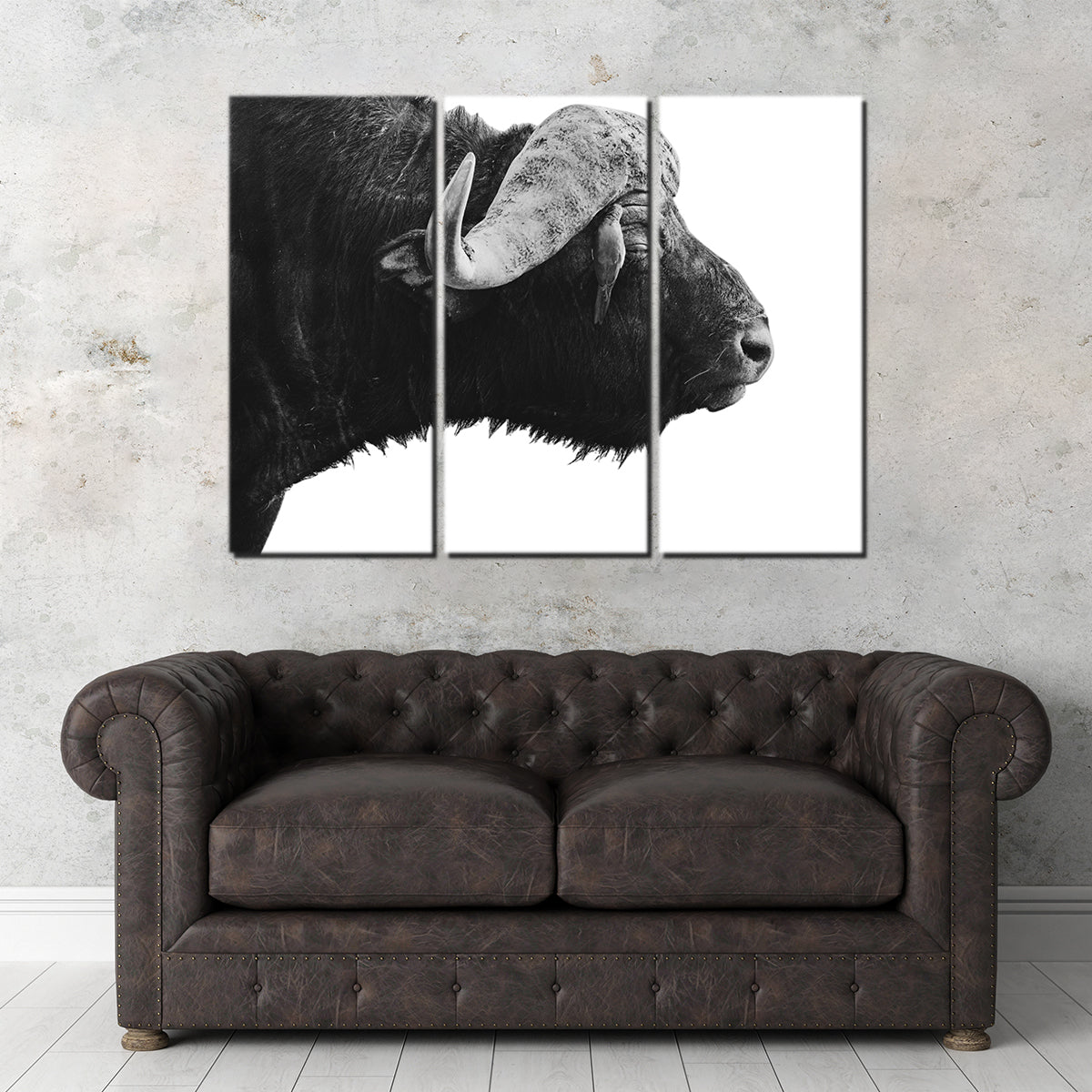 Buffalo Wall Art