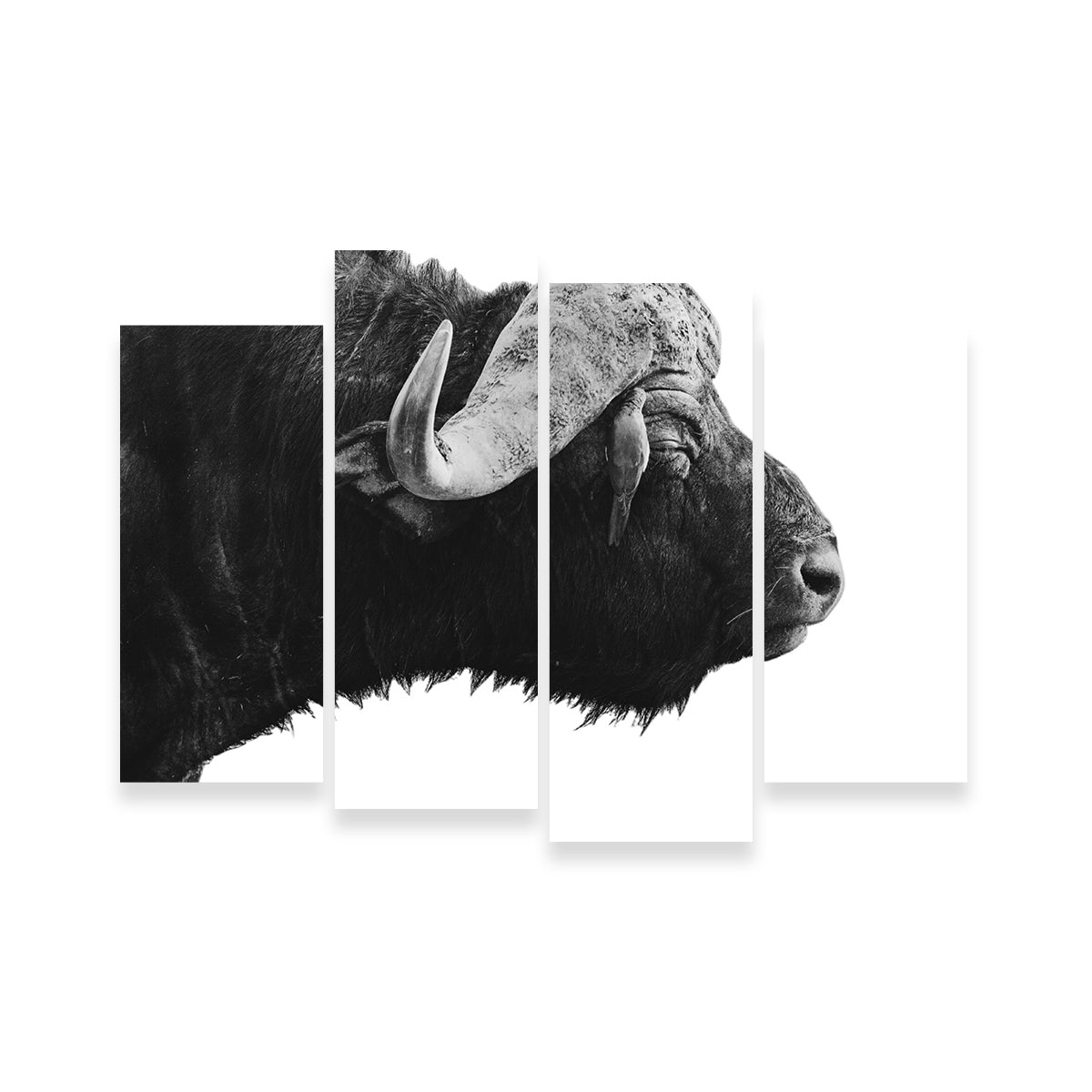 Buffalo Wall Art