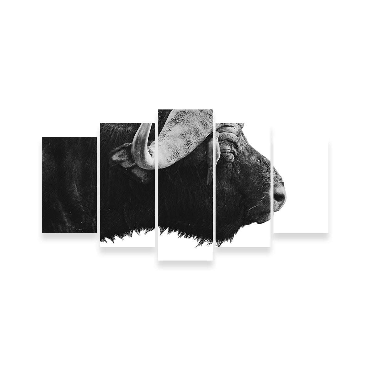 Buffalo Wall Art