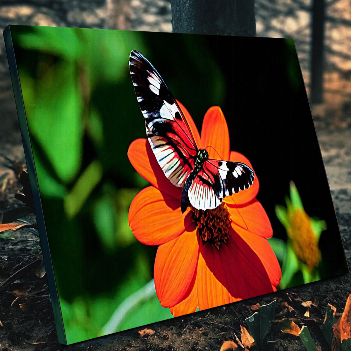 Vibrant Butterfly Wall Art