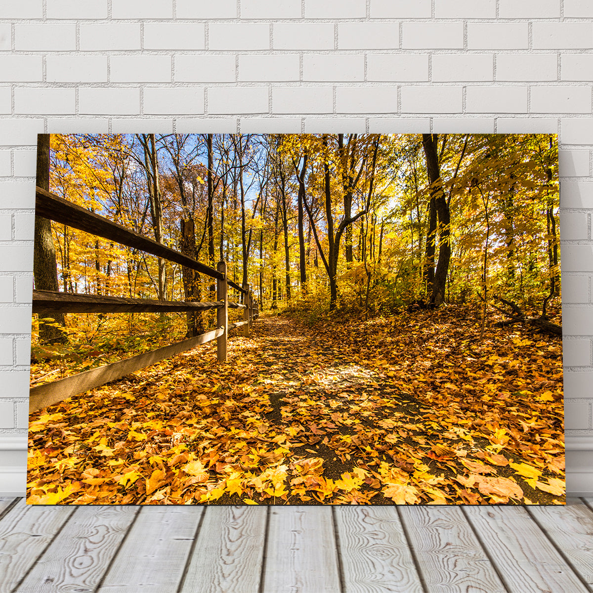 Caesar Creek State Park Fall Foliage Wall Art