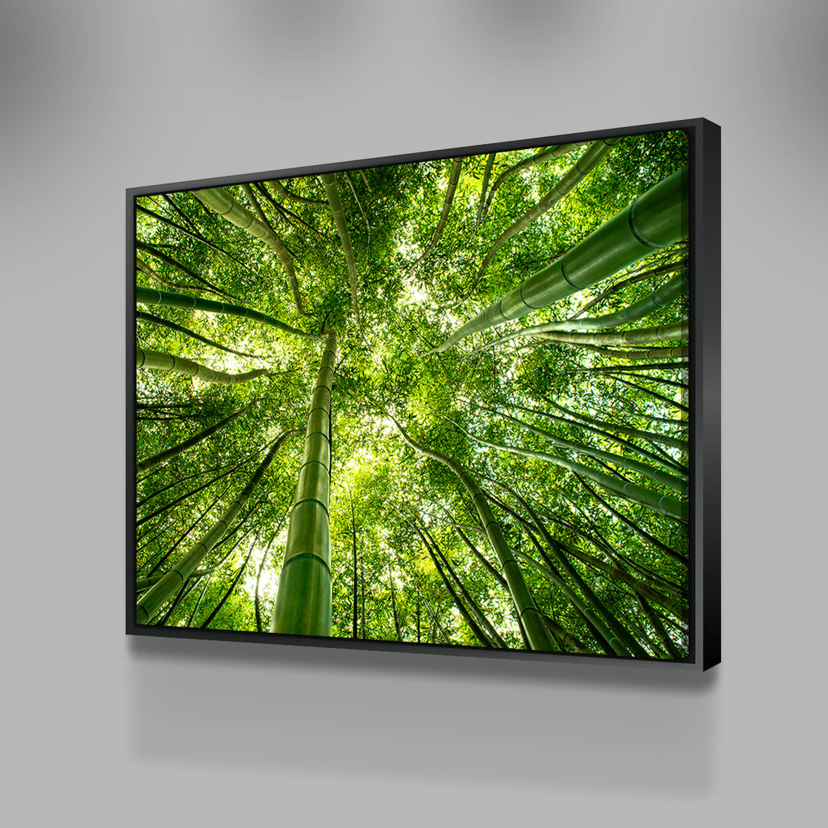 Canopy in Pisa Italy Wall Art