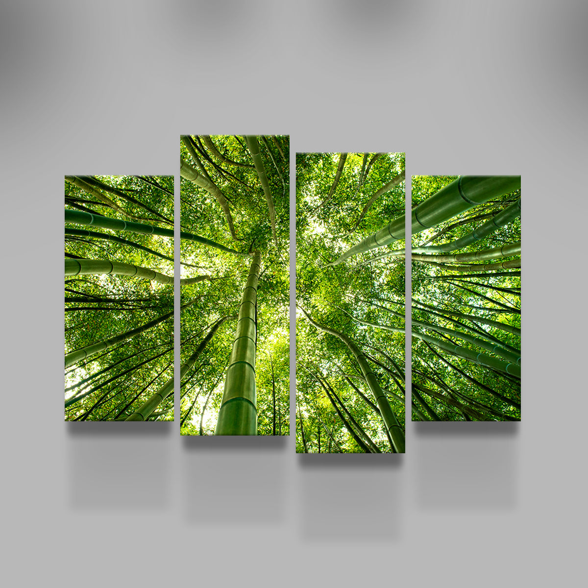 Canopy in Pisa Italy Wall Art