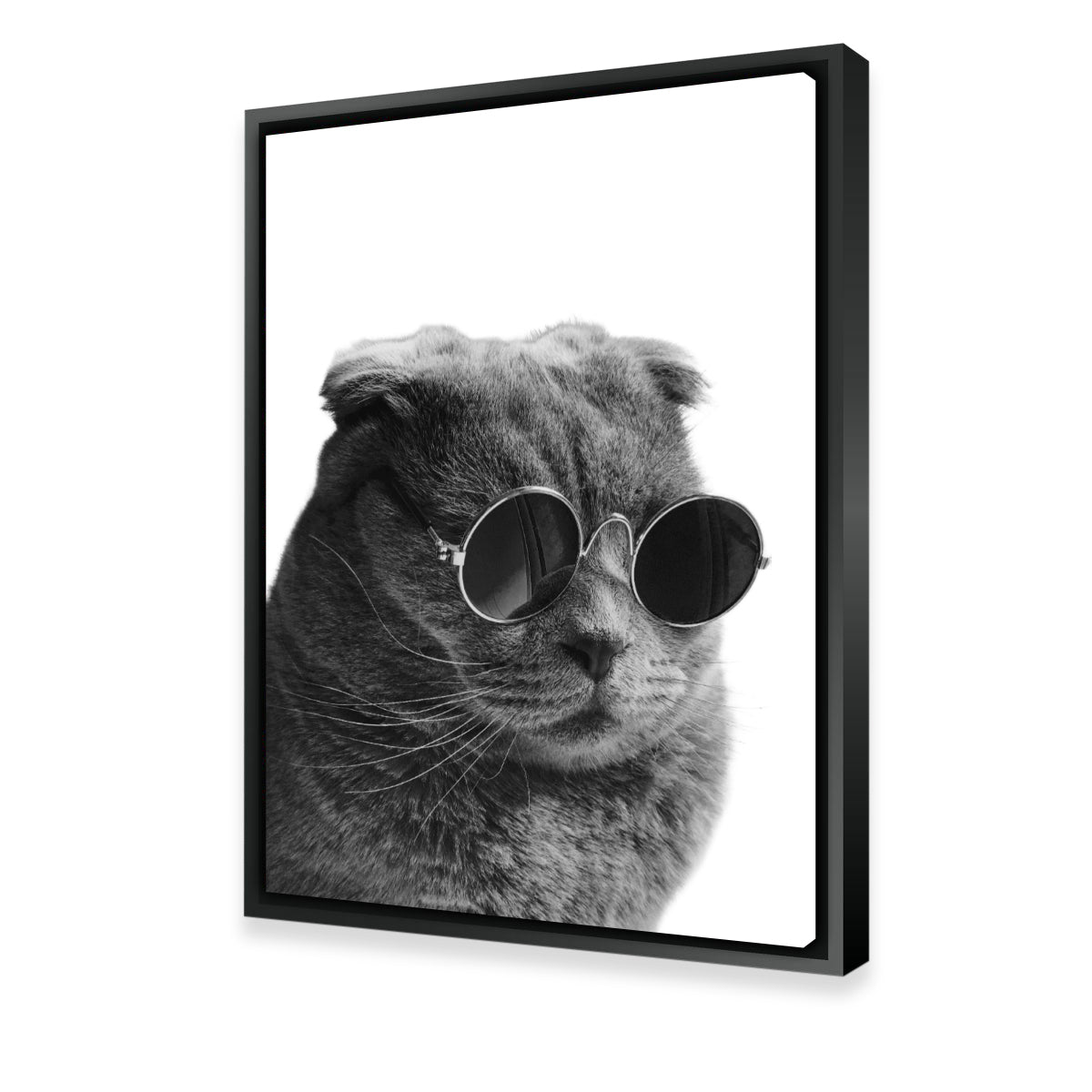 Cat Cool Wall Art