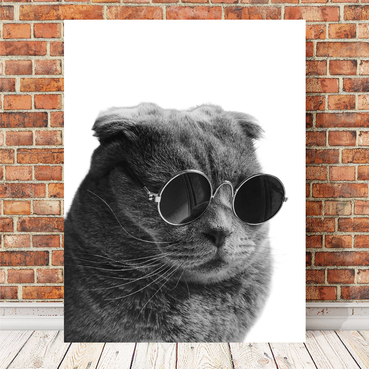 Cat Cool Wall Art