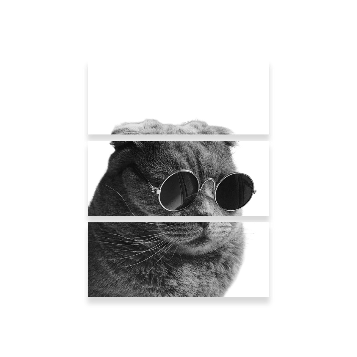 Cat Cool Wall Art