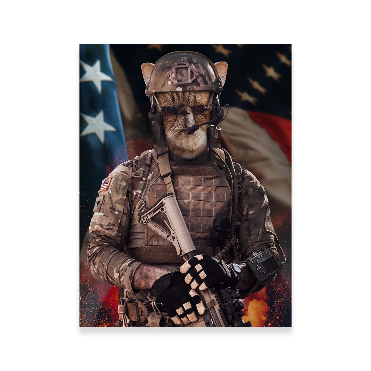 Cat Soldier Wall Art