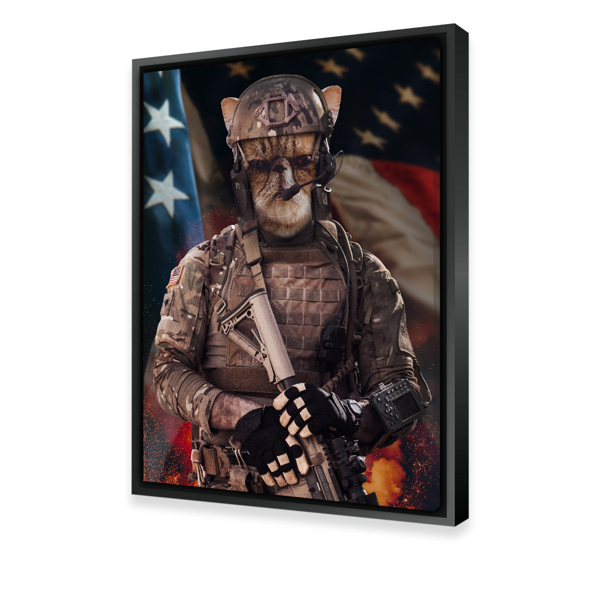 Cat Soldier Wall Art