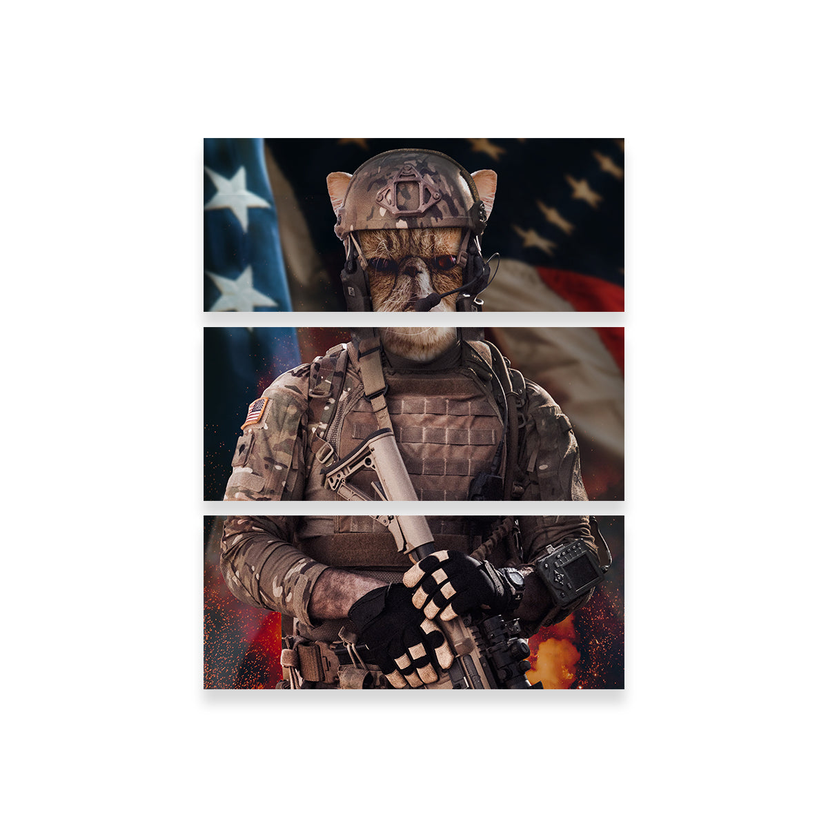 Cat Soldier Wall Art