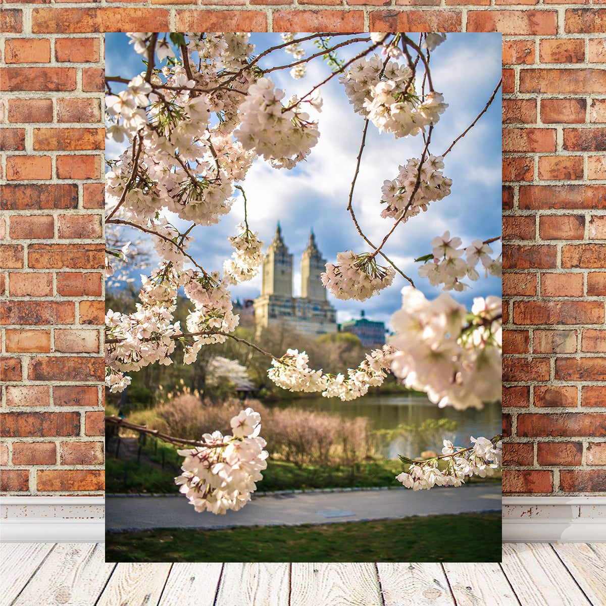 Central Park Cherry Blossoms Wall Art