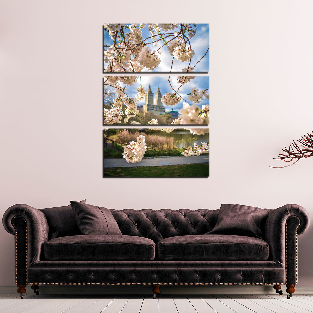 Central Park Cherry Blossoms Wall Art