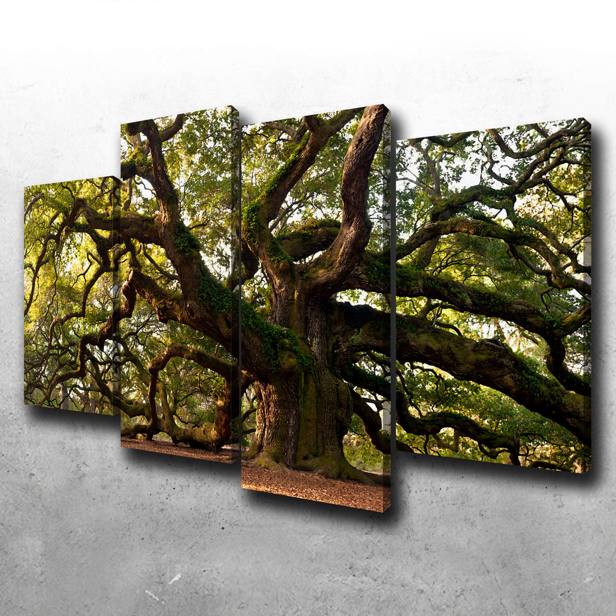 Charleston Angel Oak Canvas Set