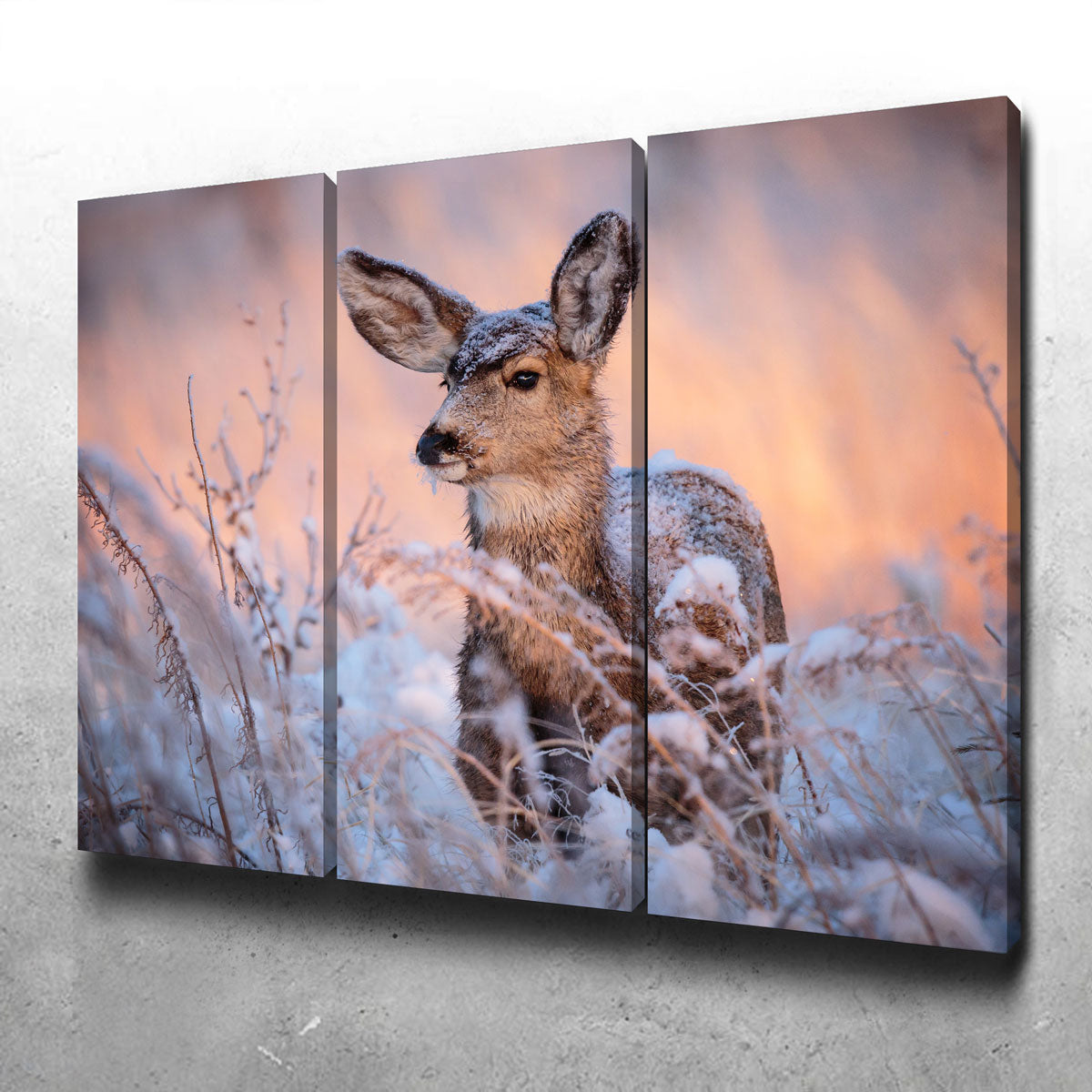 Colorado Doe Wall Art