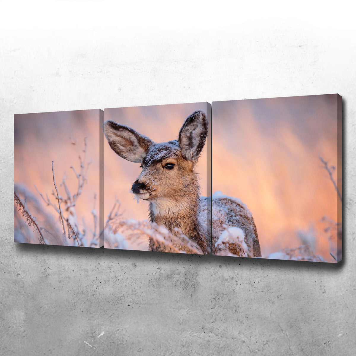 Colorado Doe Wall Art