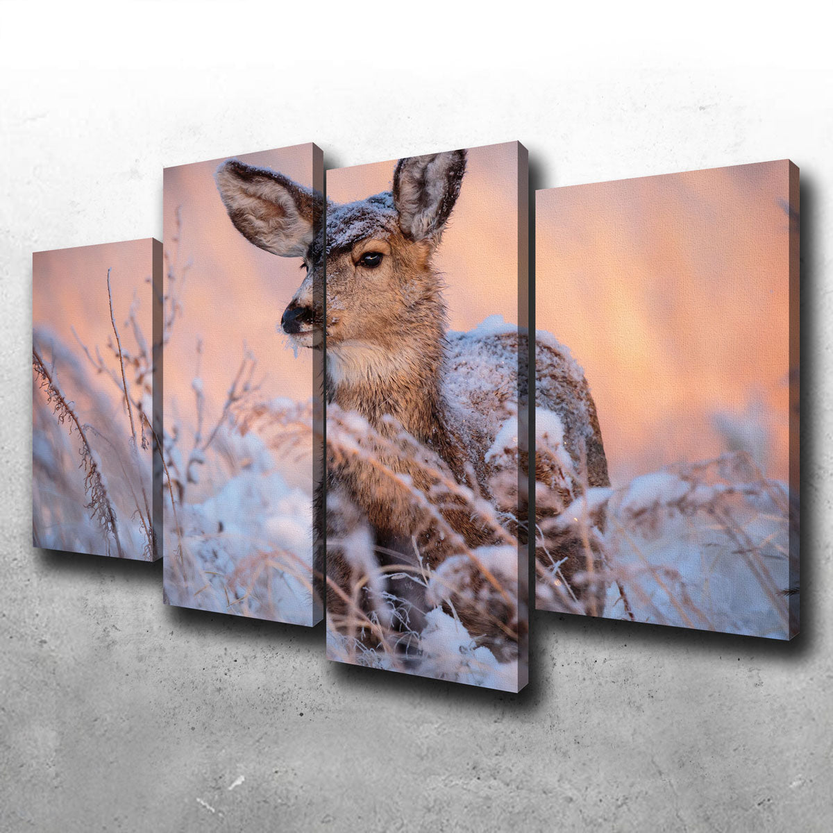 Colorado Doe Wall Art