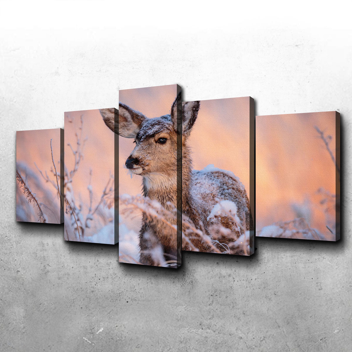 Colorado Doe Wall Art