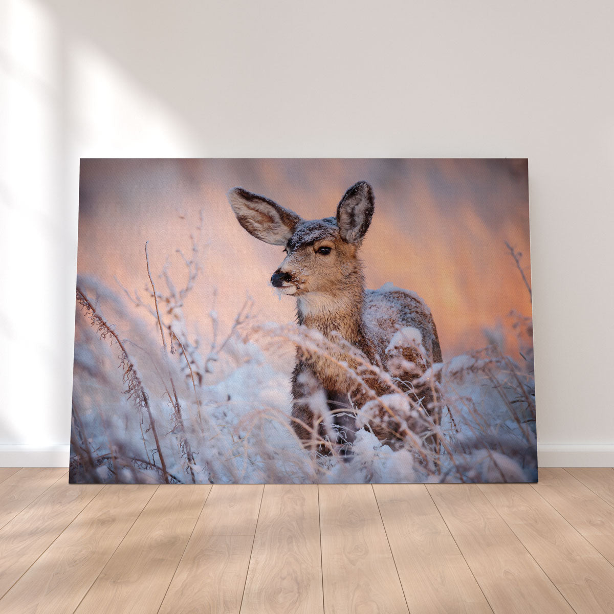 Colorado Doe Wall Art