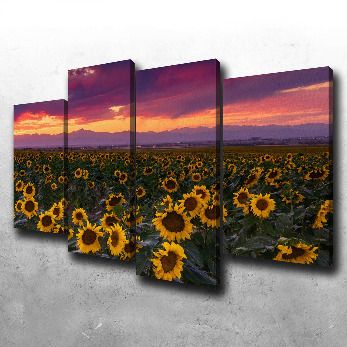 Colorado Sunflowers Canvas Set