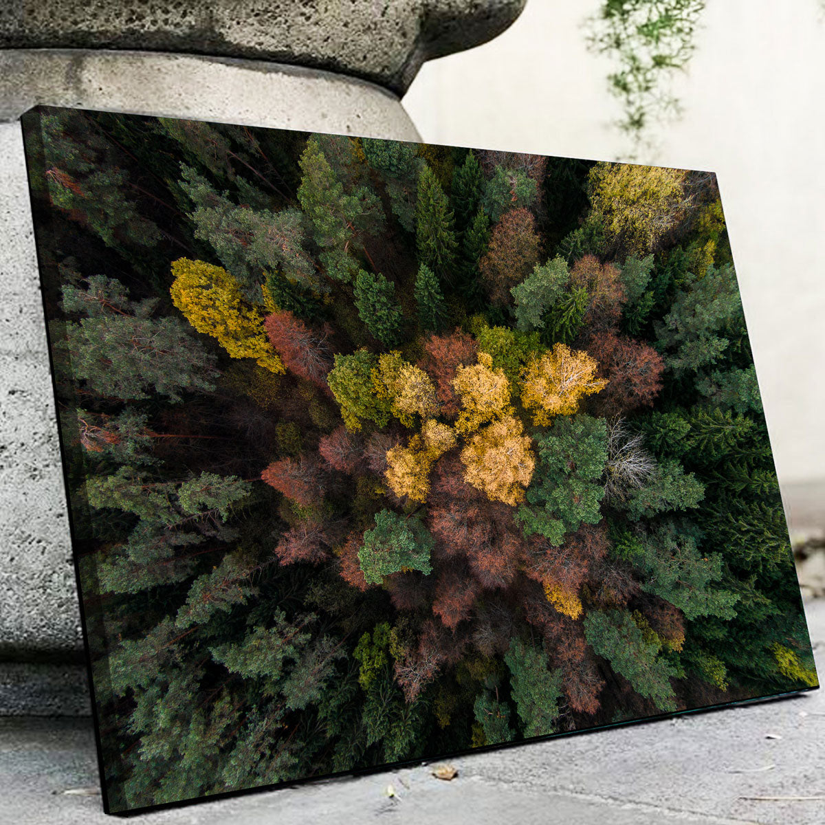 Colorful Canopy Wall Art